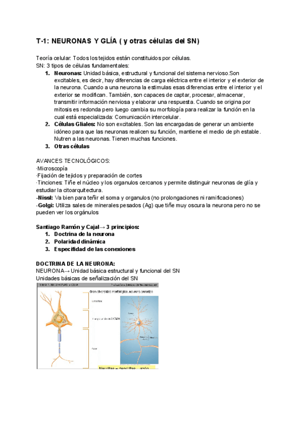 Miniatura del documento BIO-T-1.pdf