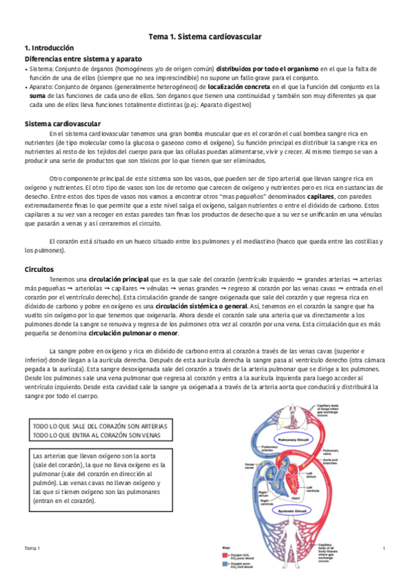 Miniatura del documento Tema-1-Sistema-cardiovascular.pdf