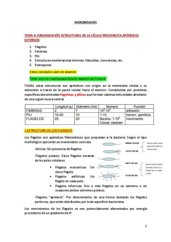Miniatura del documento TEMA-4.pdf