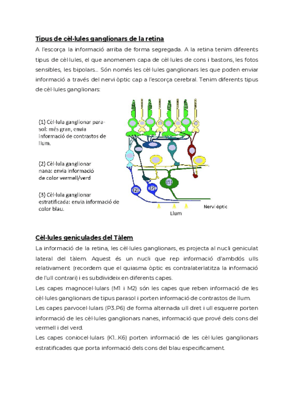 Miniatura del documento TEMA-3-Visio-part-2.pdf