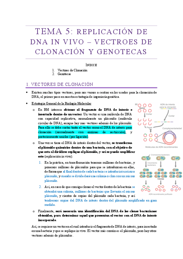Miniatura del documento Tema-5-GMIG.pdf