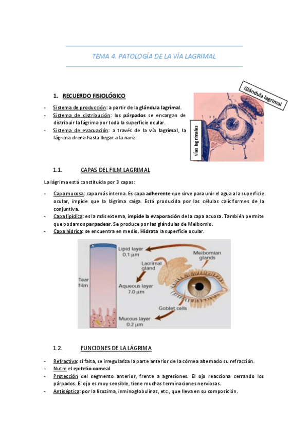 Miniatura del documento TEMA-4-PATOLOGIA-DE-LA-VIA-LAGRIMAL.pdf