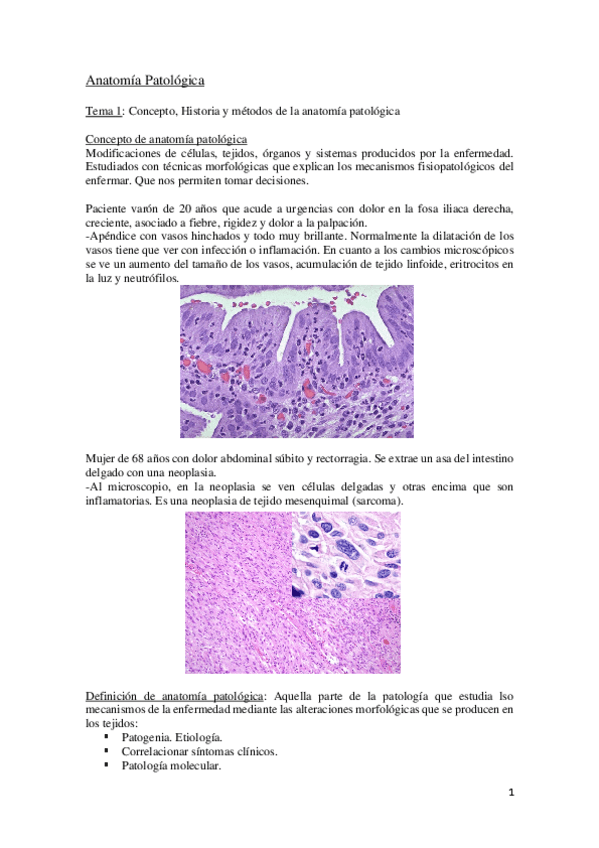 Miniatura del documento Anatomía patológica 1º parcial.pdf