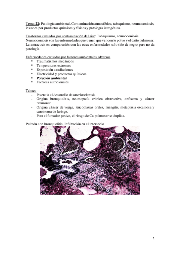 Miniatura del documento Anatomía Patológica 2º parcial.pdf