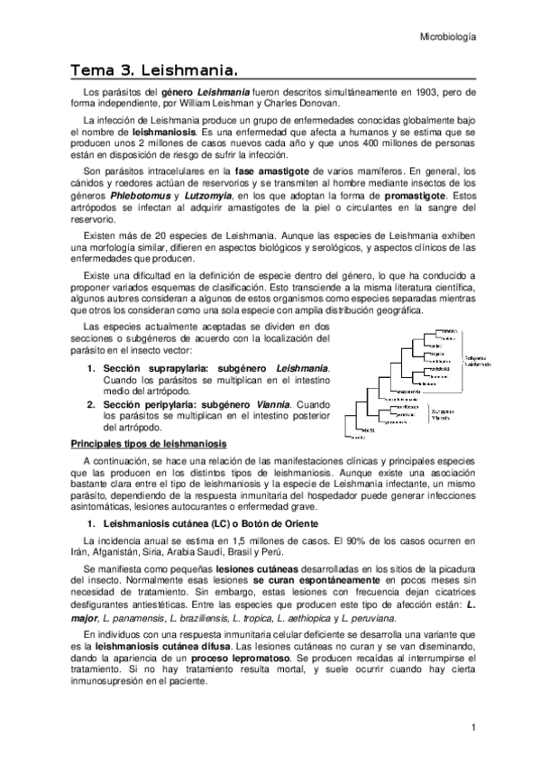 Miniatura del documento Tema-3.docx