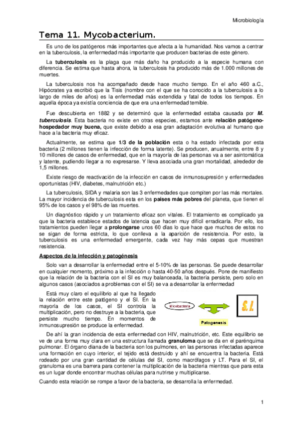 Miniatura del documento Tema-11.docx