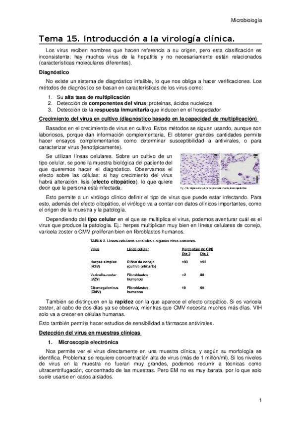 Miniatura del documento Tema-15.docx