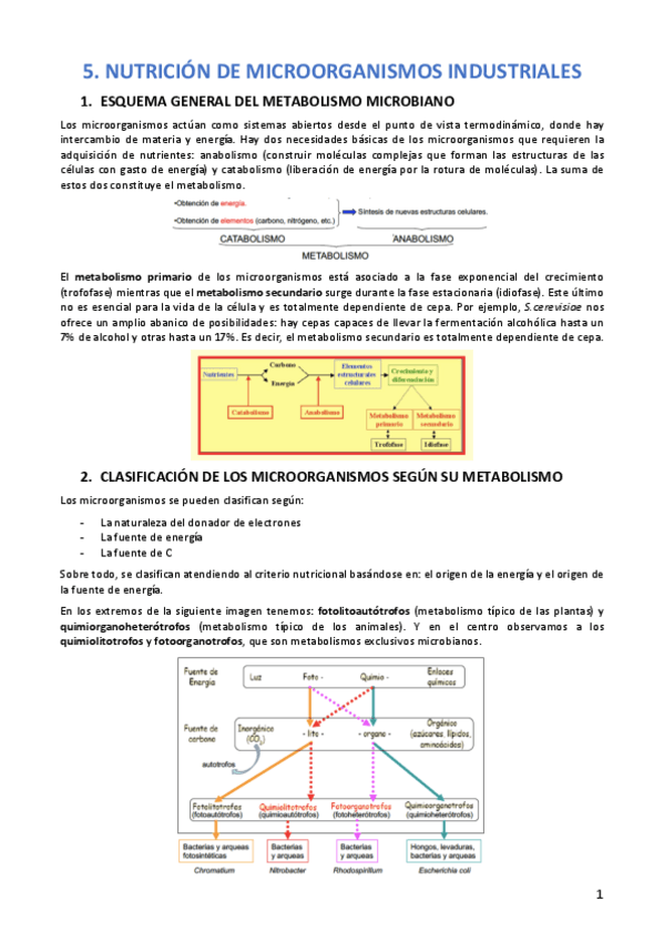 Miniatura del documento TEMA-5-MICRO.pdf