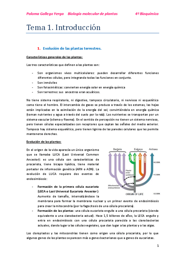 Miniatura del documento Tema 1. Introducción. Paloma.pdf