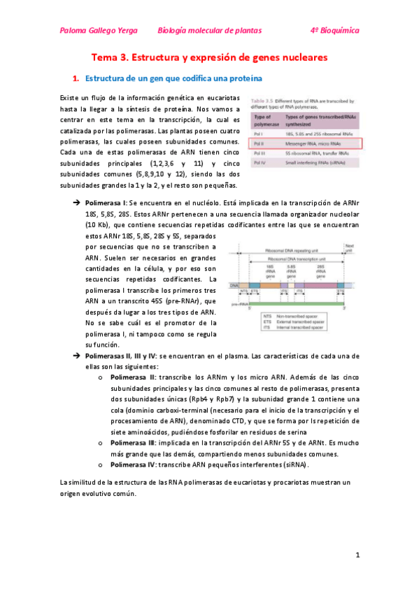 Miniatura del documento Tema 3. Estructura y expresión de genes nucleares. Paloma.pdf