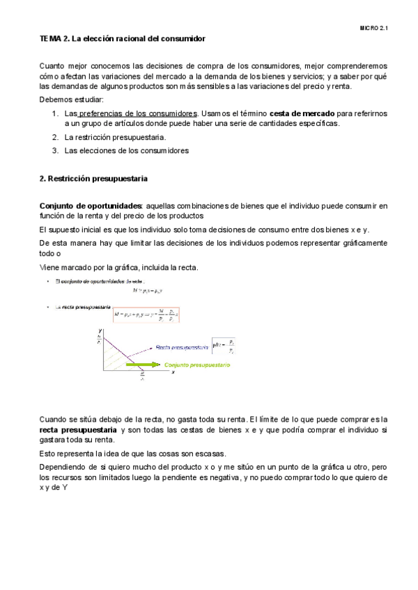 Miniatura del documento t2-La-eleccion-racional-del-consumidor.pdf