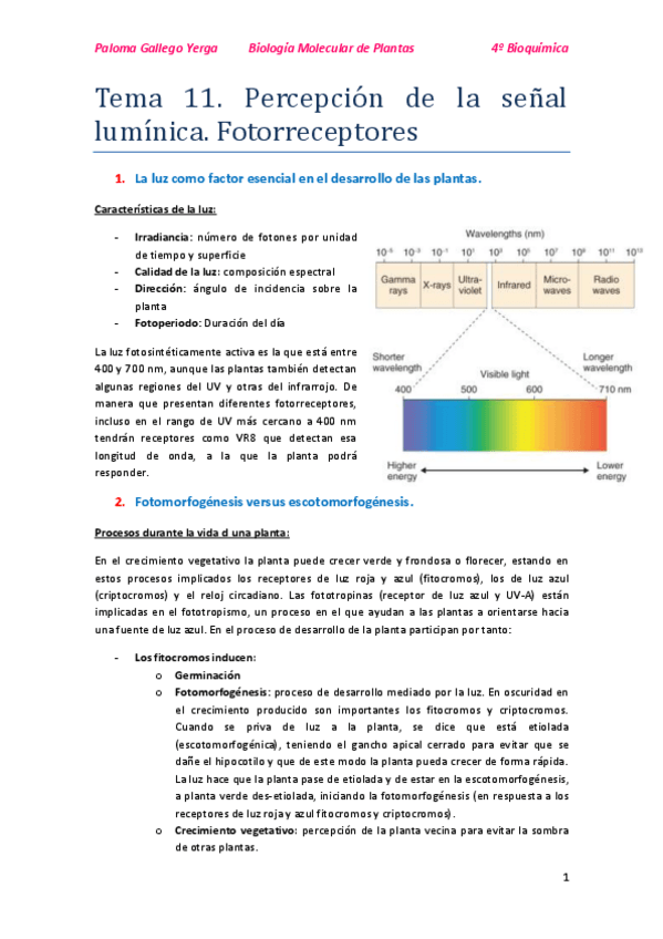 Miniatura del documento Tema 11. Percepción de la señal lumínica. Fotorreceptores. Paloma.pdf