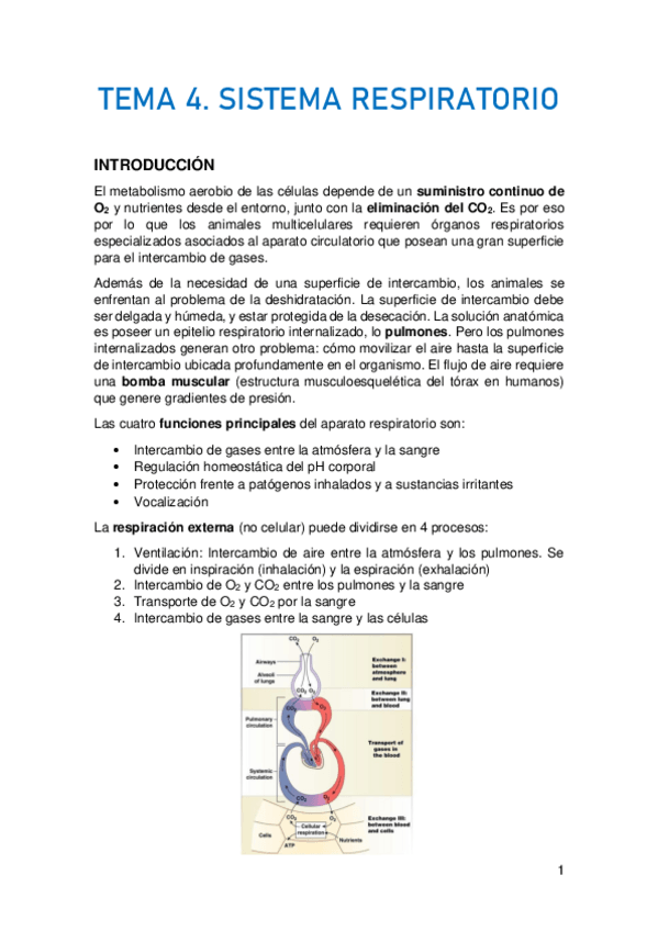 Miniatura del documento TEMA-4.pdf