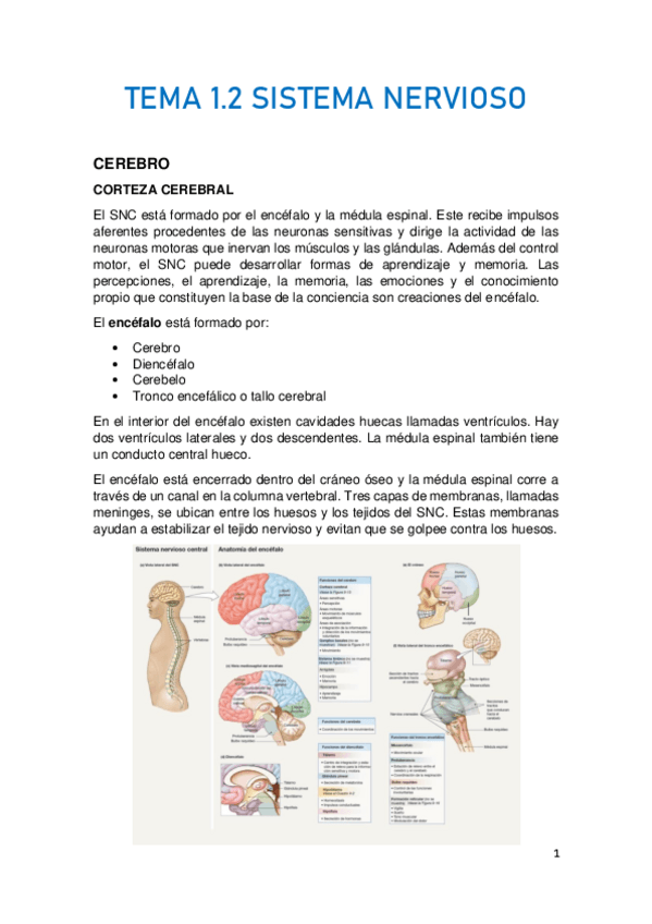 Miniatura del documento TEMA-1.pdf