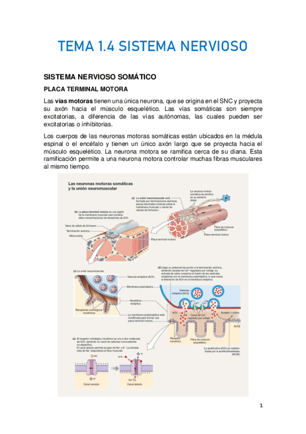 Miniatura del documento TEMA-1.pdf