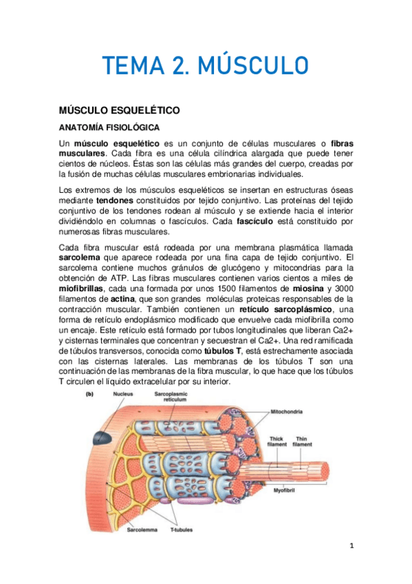 Miniatura del documento TEMA-2.pdf
