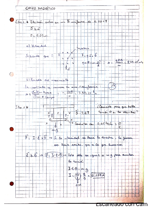 Miniatura del documento EJERCICIOS-Y-PROBLEMAS-CAMPO-MAGNETICO.pdf