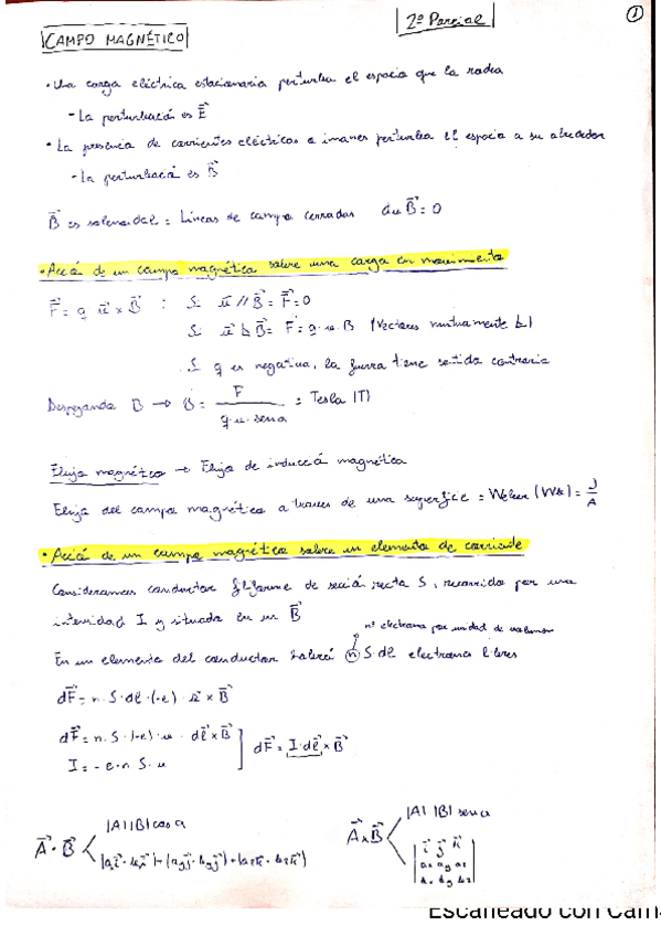 Miniatura del documento TEORIA-CAMPO-MAGNETICO.pdf
