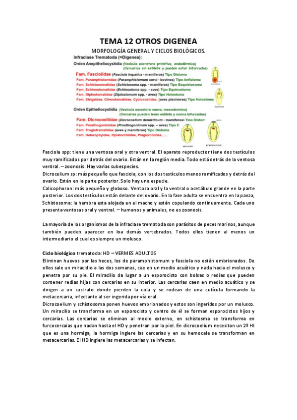 Miniatura del documento TEMA-12-OTROS-DIGENEA.pdf