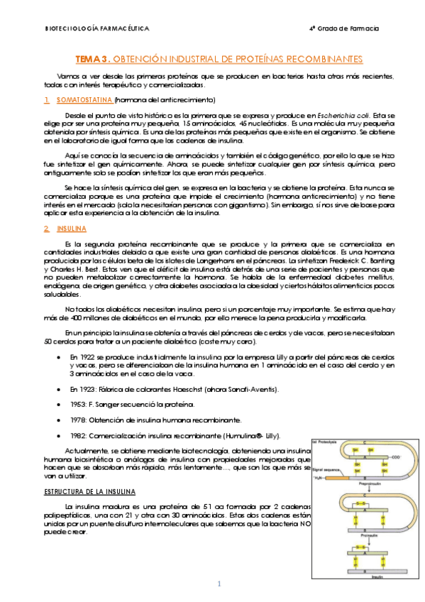 Miniatura del documento TEMA-3.pdf