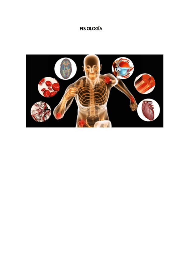 Miniatura del documento TEMARIO-DE-FISIOLOGIA-1-8.pdf