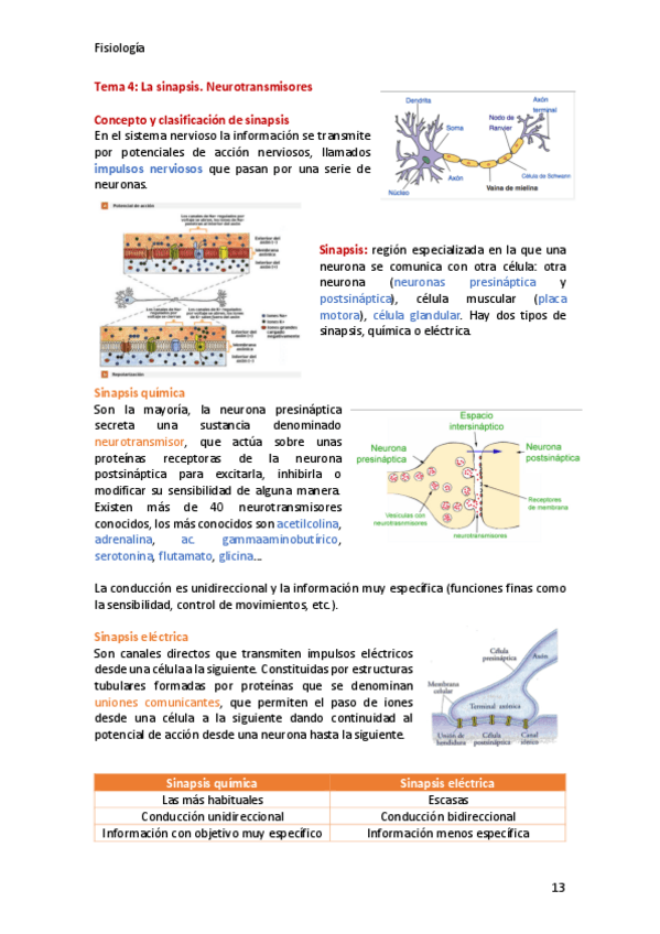 Miniatura del documento Fisiologia-tema-04.pdf