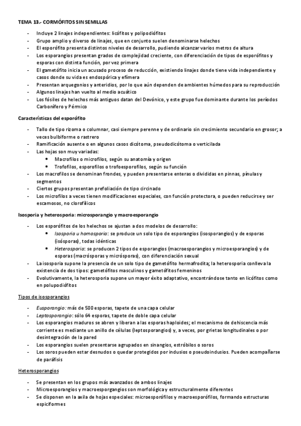 Miniatura del documento TEMA-13.pdf