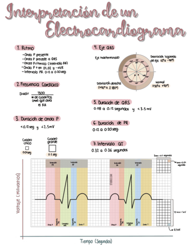 Miniatura del documento Interpretacion-de-un-electrocardiograma.pdf