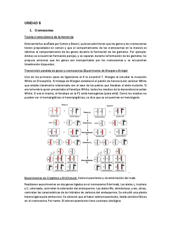 Miniatura del documento UNIDAD-B.pdf