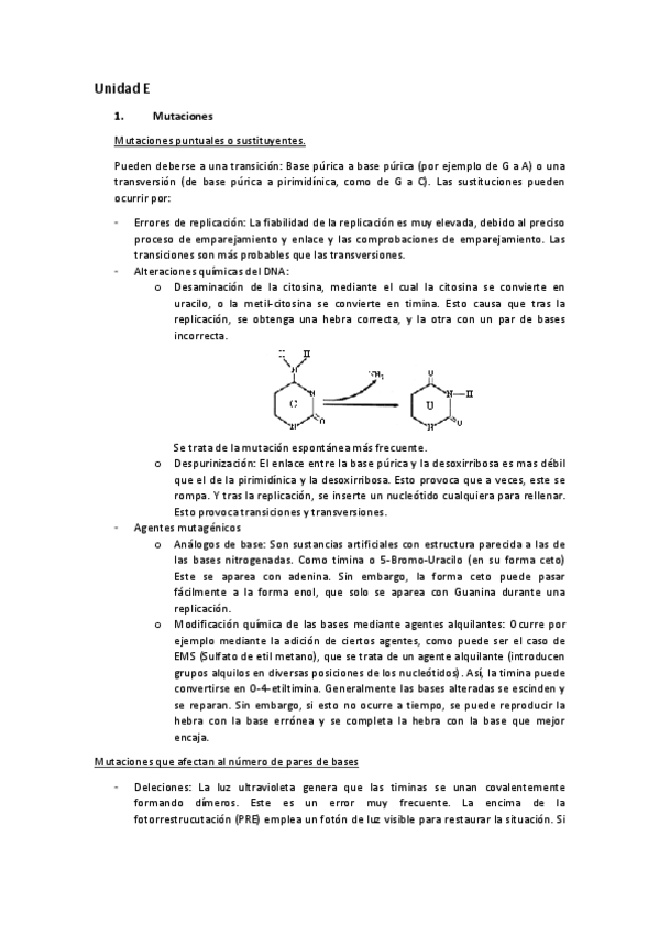 Miniatura del documento Unidad-E