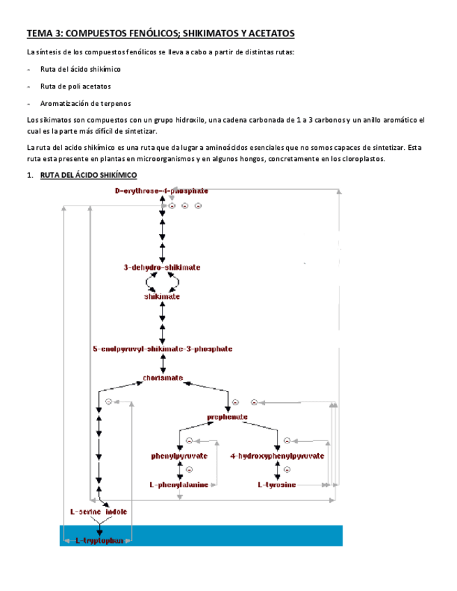 Miniatura del documento TEMA-3.pdf