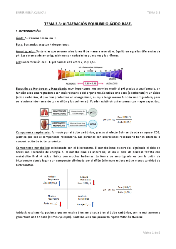 Miniatura del documento TEMA-3.3 pdf
