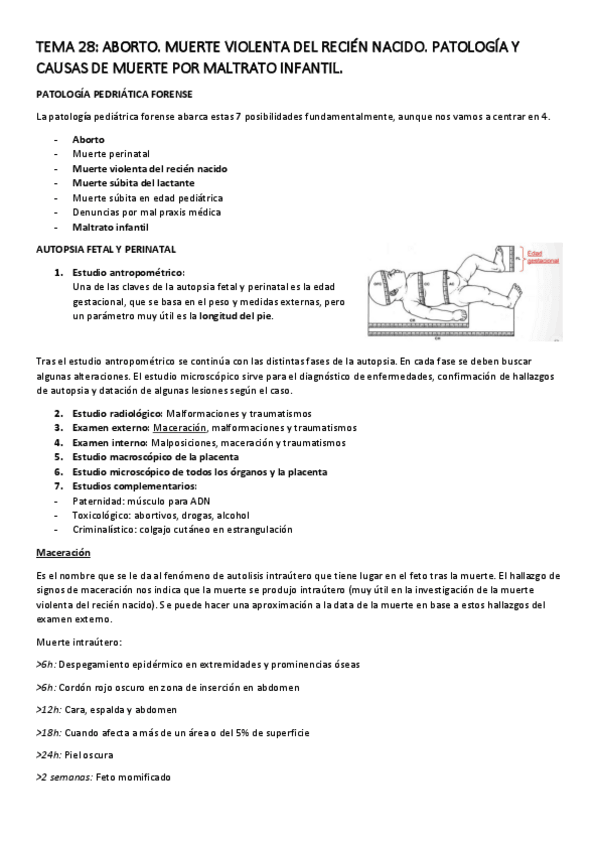 Miniatura del documento TEMA-28.pdf