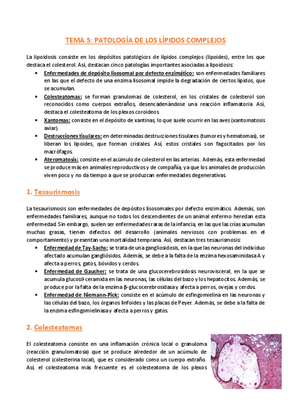 Miniatura del documento TEMA-5-Anatomia-Patologica-General.pdf