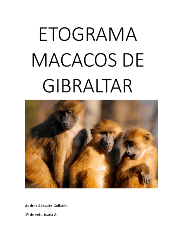 Miniatura del documento Etograma.pdf