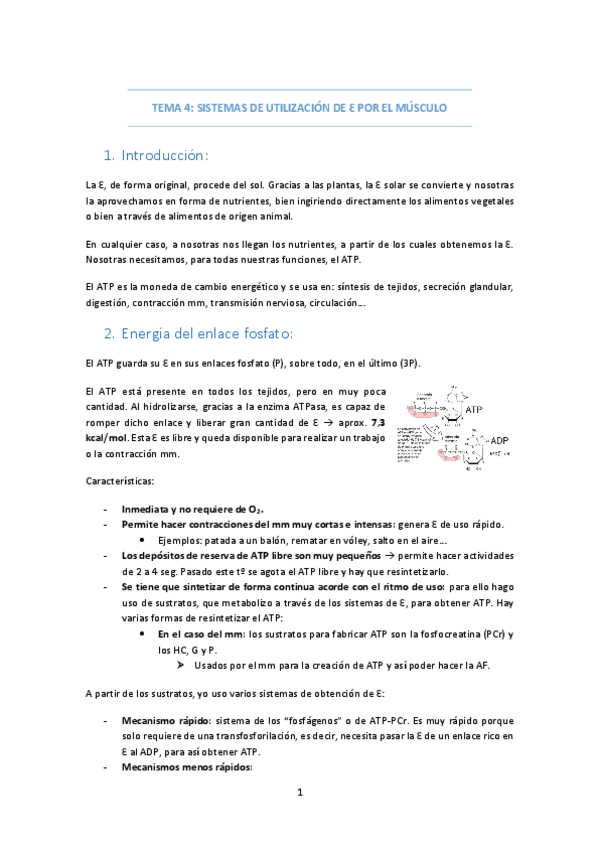 Miniatura del documento TEMA-4-SISTEMAS-ENERGIA-EN-MM.pdf