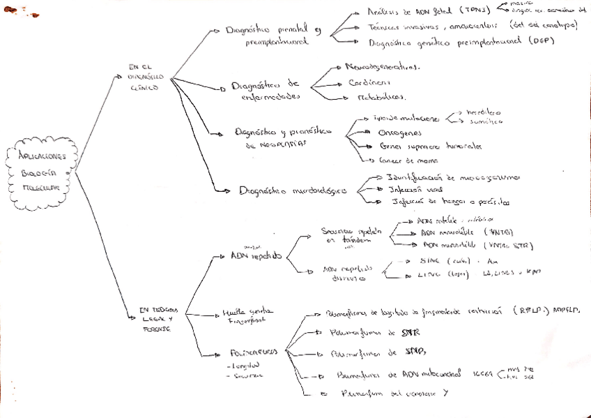 Miniatura del documento Aplicaciones-y-bases-de-datos.pdf