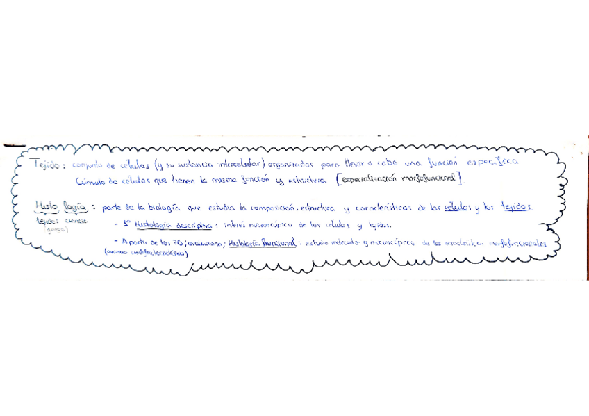 Miniatura del documento Tema-3-Tejidos.pdf