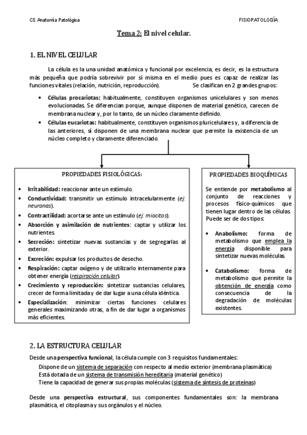 Miniatura del documento Tema-2-El-nivel-celular.pdf