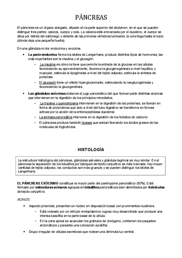 Miniatura del documento PANCREAS.pdf