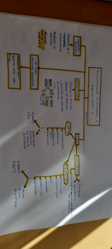 Miniatura del documento 20201024125546.pdf