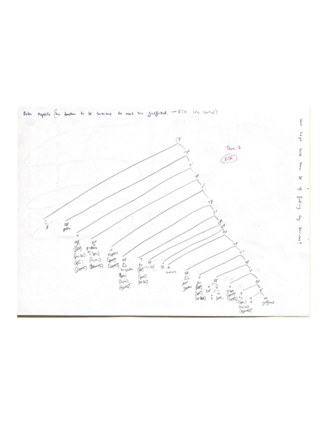 Miniatura del documento expects.pdf