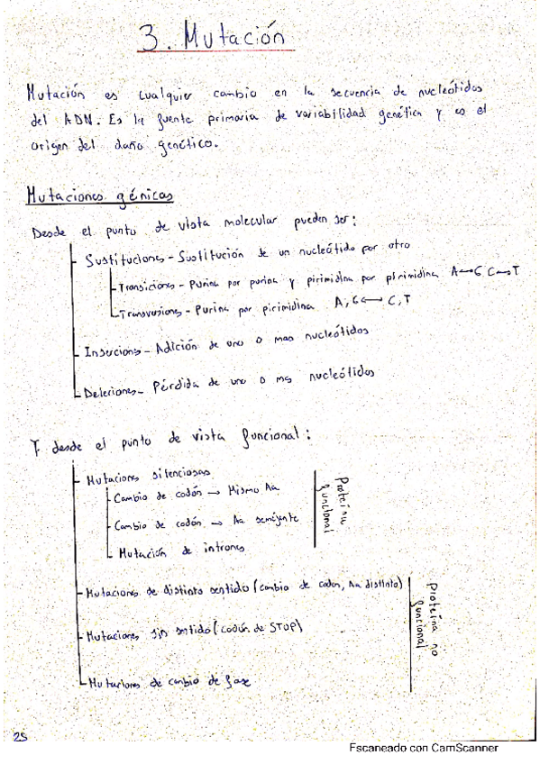 Miniatura del documento Esquemas-y-resumen.pdf