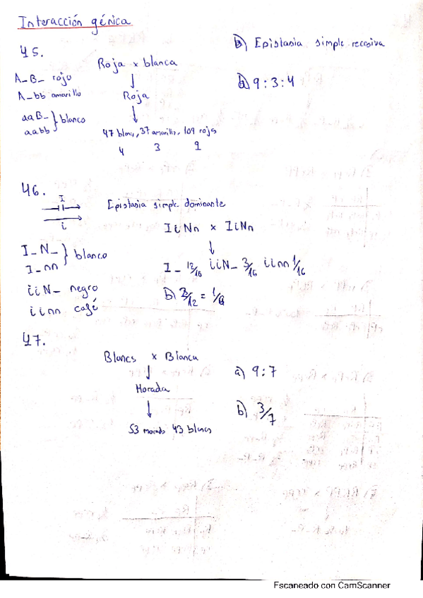 Miniatura del documento ejercicios-interaccion-genica.pdf