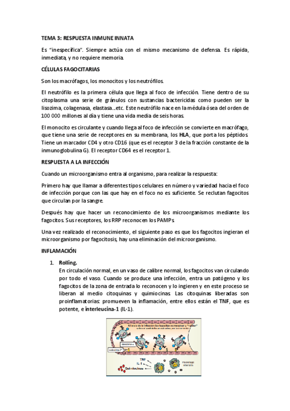 Miniatura del documento TEMA-3.pdf