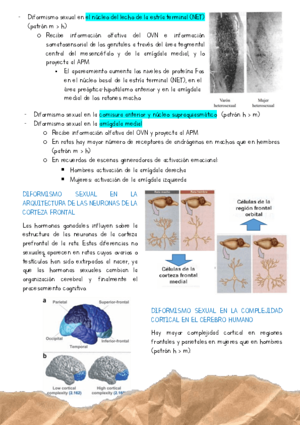 Miniatura del documento tema-1-parte-3-hasta-la-98-del-nuevo-ppt.pdf