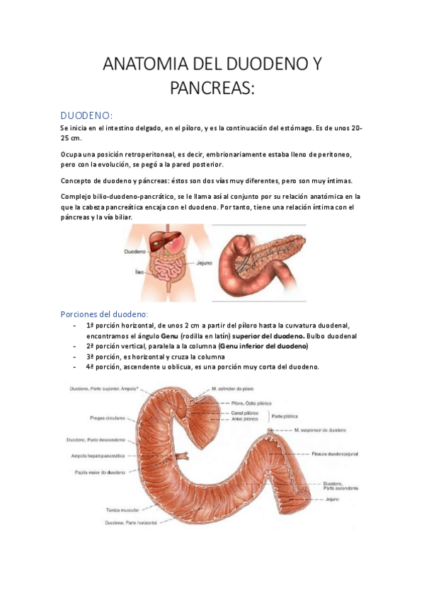 Miniatura del documento A.pdf