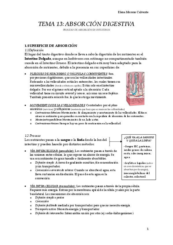 Miniatura del documento Tema-14-Absorcion-Digestiva.pdf