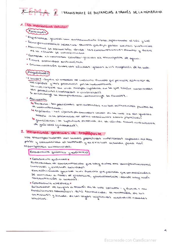Miniatura del documento tema-2-fisiologia-humana.pdf