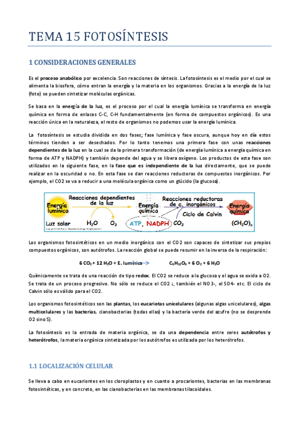 Miniatura del documento TEMA-15-FOTOSINTESIS.pdf
